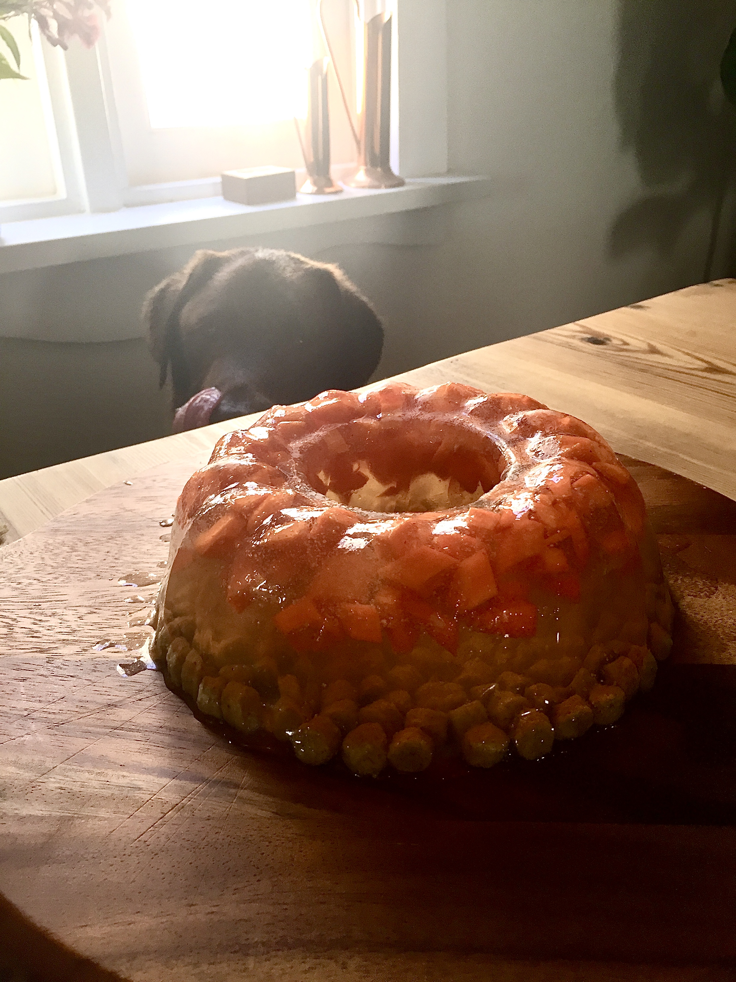 The best birthday cake recipe for dogs